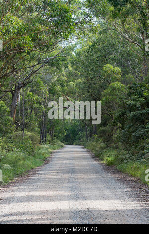 Eine dirt road in New South Wales, Australien Stockfoto