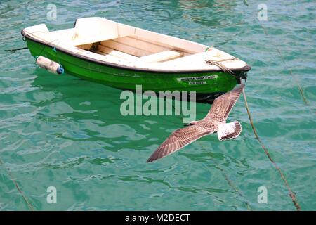 Möwe das Fliegen über den Ozean, während ein Boot schwimmt Stockfoto