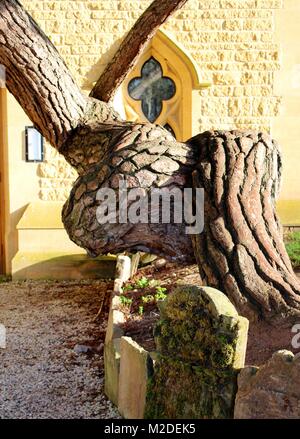 Kirche der Heiligen Dreifaltigkeit wird oft als Shakespeare's Kirche durch seinen Ruf als Ort der Taufe und Beerdigung von William Shakespeare bekannt. Stockfoto