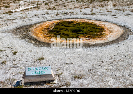 Wirtschaftliche Geysir ist für seine Fähigkeit, wieder fast alle das Wasser treibt es während einer Eruption benannt. Yellowstone National Park, Wyoming, USA Stockfoto