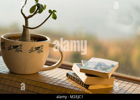 Ein ruhiger Raum mit Fenster mit Blick auf einen malerischen Berg auf einen ruhigen Nachmittag. Bücher und Umgebung im Wesentlichen erstellen Atmosphäre zu lesen Stockfoto