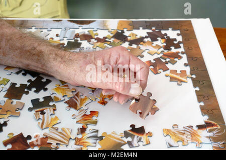 Eine ältere, oder älteren Menschen mit Demenz arbeitet ein Puzzle seine geistigen Fähigkeiten zu schärfen. Oklahoma, USA. Stockfoto