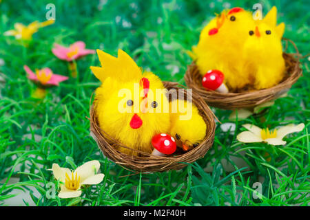 Ostern-Einstellung mit Hühnern auf Rasen Hintergrund. Stockfoto