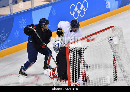 Gangneung, Südkorea. 07 Feb, 2018. Des Vereinigten koreanischen Frauen Eishockey Team Training in der Kwandong Hockey Centre in Tainan, Südkorea, 07. Februar 2018. Eine gemeinsame Olympischen Gruppe aus Süd- und Nordkoreanischen Eishockey Spieler an dem Wettbewerb in Pyeongchang. Die Pyeongchang 2018 Winter Olympics findet zwischen 09. und 25. Februar. Credit: Peter Kneffel/dpa/Alamy leben Nachrichten Stockfoto