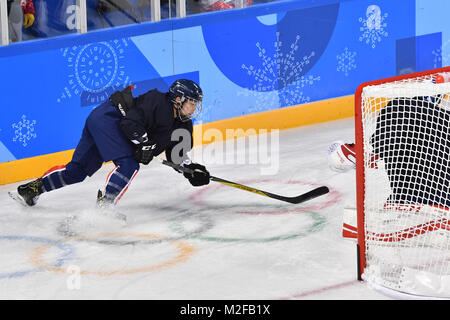 Gangneung, Südkorea. 07 Feb, 2018. Des Vereinigten koreanischen Frauen Eishockey Team Training in der Kwandong Hockey Centre in Tainan, Südkorea, 07. Februar 2018. Eine gemeinsame Olympischen Gruppe aus Süd- und Nordkoreanischen Eishockey Spieler an dem Wettbewerb in Pyeongchang. Die Pyeongchang 2018 Winter Olympics findet zwischen 09. und 25. Februar. Credit: Peter Kneffel/dpa/Alamy leben Nachrichten Stockfoto
