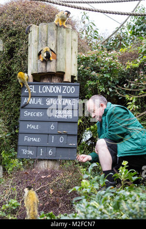 Regent's Park, London, 7. Feb 2018. Keeper Tony versucht, den totenkopfäffchen Schleifring in Schach zu halten. Zoowärter im ZSL London Zoo bereit, ihre zwischenablagen, Taschenrechner und Kameras - wie Sie sich vorbereiten, die Tiere zu zählen bei der jährlichen Inventur im Zoo. Die Pflege von mehr als 700 verschiedenen Arten, ZSL keepers stehen vor der schwierigen Aufgabe, Auszählung jedes Säugetier-, Vogel-, Reptilien, Fische und Wirbellose im Zoo. Stockfoto