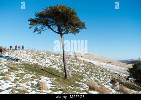 Ein Wintertag zu Fuß von Castleton im Peak District National Park entlang der Großen Ridge von Mam Tor Hill verlieren. Blauer Himmel und Schnee auf dem höheren Boden in Richtung Tor zurück und Verlieren Hill Quelle: Eric Murphy/Alamy leben Nachrichten Stockfoto