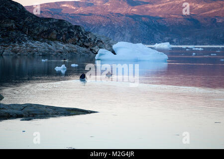 Camp Ataa, Grönland. Die Ataa Camp liegt im Norden von Grönland auf ungefähr fünf Stunden segeln von Ilulissat entfernt, in einer wunderschönen Bucht, ist der ideale Stockfoto