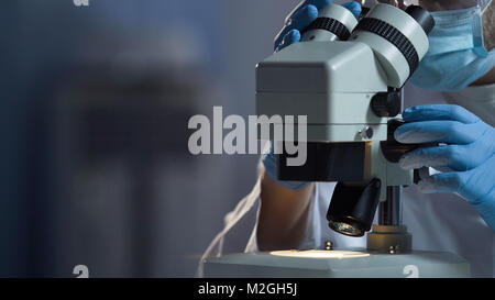 Laboratory Assistant Erforschung neu gezüchtete Bakterien unter dem Mikroskop, Wissenschaft, Stock Video Stockfoto