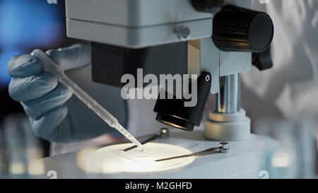 Labor Arbeitnehmer Vorbereitung biologisches Material, DNA-Test die Vaterschaft, Stock Video zu schaffen Stockfoto