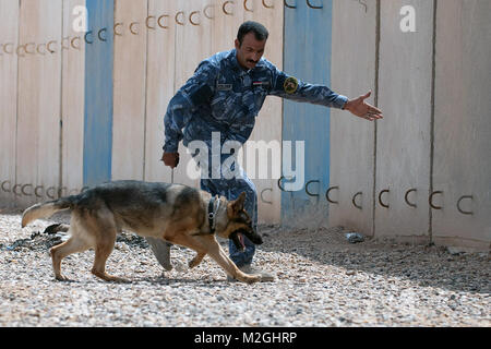 Husian Saadoun Kareem, einem Hundeführer mit der irakischen Polizei Al Anbar K-9 Unit in Ramadi, Irak, arbeitet mit seinem Hund, Arko, eine explosive Probe während der Ausbildung 16 April, 2010 zu finden. Von irakischen Innenministerium nutzt Deutsche Schäferhunde, Malinois, Beligan und Labrador Retriever in Ihren neuen K-9 Bombe - schnüffelnhund Programm. (U.S. Armee Foto von Sgt. Michael J. MacLeod, 1/82 AAB, USD-C) Arbeiten mit Arko vom 1st Armored Division und Fort Bliss Stockfoto