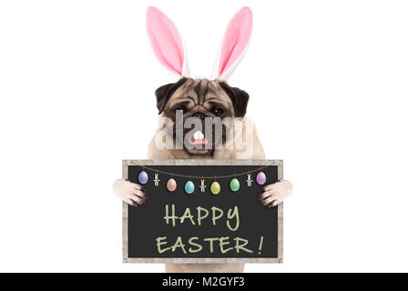 Osterhase mops Welpe Hund mit Ohren, Eier und Tafel mit Text frohe Ostern, auf weißem Hintergrund Stockfoto