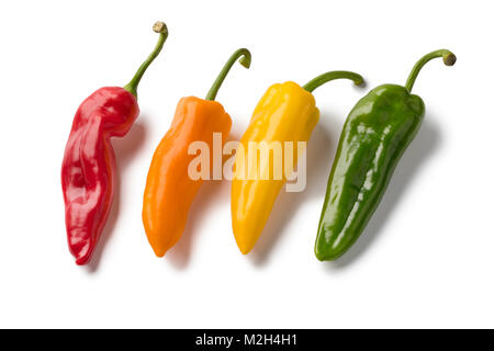 Frische Vielfalt von rot, gelb, orange und grüne Paprika Sweet wies auf weißem Hintergrund Stockfoto