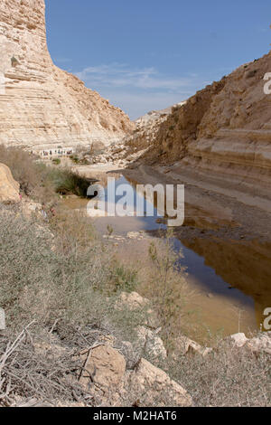 Wanderer in ein avdat Canyon in nahal Zin in der Wüste Negev Stockfoto