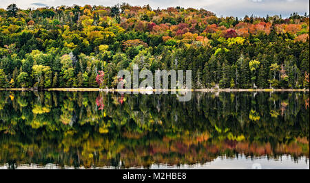 Echo Lake Acadia np Maine Stockfoto