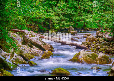 Ein schöner Stream in der Great Smoky Mountains National Park. Stockfoto