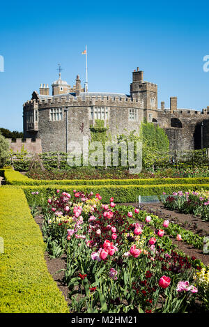 Rosa Tulpen und roten Wallflowers für Teil des floralen Ende einer potager Garten an Walmer Castle Deal Kent UK Stockfoto