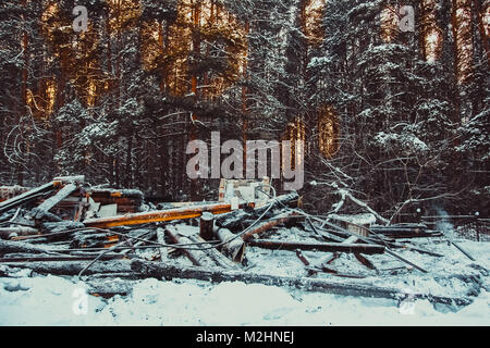 Verbrannte Holz- Wände das Haus nach dem Brand. Verbrannt, altes, hölzernes Gebäude in Russland. Ruiniert aufgegeben ausgebrannten Holzhaus Stockfoto