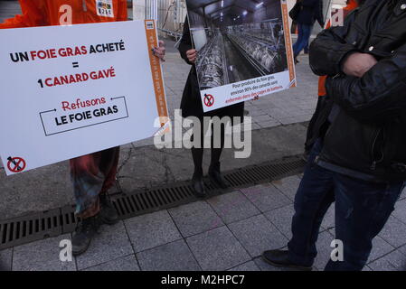 L 214 vegane Aktivisten protestieren gegen Foie gras und Kraft Stopfen von Gänsen, Lyon, Frankreich Stockfoto