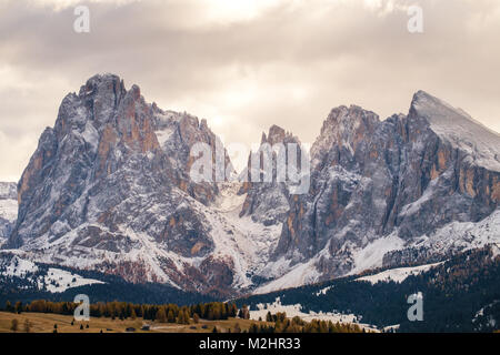 Seiser Alm mit Langkofel Gruppe nach Sonnenaufgang, Südtirol, Italien Stockfoto