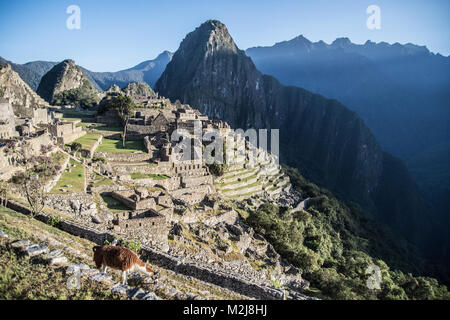 Morgen in Machu Picchu Stockfoto