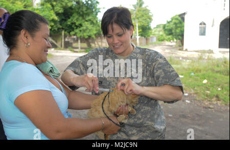 Spc. Christine Wilde aus Salt Lake City verwaltet eine Tollwutimpfung zu einem lokalen Kätzchen in El Salvador. Der Tierarzt Team von nur drei Soldaten trat der 349 Combat Support Hospital für einen zweiwöchigen Mission in El Salvador die Menschen und Tiere zu behandeln. - Foto von Army Staff Sgt. Kristen König 349 Medrete in Tepetitan (32 von 78) 807 MCDS Stockfoto