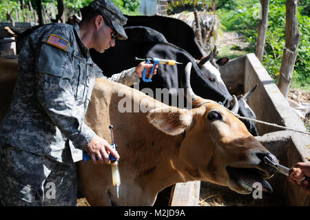 Kapitän Dan Crowell von Lamoille, Nev impft eine Kuh in El Salvador. Die 993Rd Medical Detachment (Veterinärdienste) trat der 349 Combat Support Hospital für zwei Woche medizinische Mission in El Salvador. - Foto: Staff Sgt. Kristen König 349 MEDRETE in San Vicente (55 von 88) 807 MCDS Stockfoto