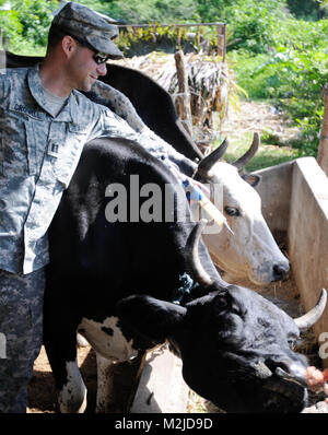 Kapitän Dan Crowell von Lamoille, Nev impft eine Kuh in El Salvador. Die 993Rd Medical Detachment (Veterinärdienste) trat der 349 Combat Support Hospital für zwei Woche medizinische Mission in El Salvador. - Foto: Staff Sgt. Kristen König 349 MEDRETE in San Vicente (56 von 88) 807 MCDS Stockfoto