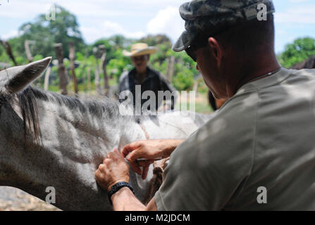 Kapitän Dan Crowell von Lamoille, Nev impft ein Pferd in El Salvador. Die 993Rd Medical Detachment (Veterinärdienste) trat der 349 Combat Support Hospital für zwei Woche medizinische Mission in El Salvador. - Foto: Staff Sgt. Kristen König 349 MEDRETE in San Vicente (84 von 88) 807 MCDS Stockfoto