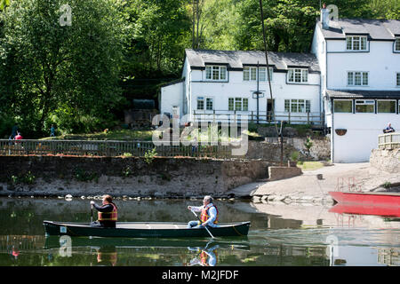 Kanufahren auf dem Fluss Wye in der Nähe von Symonds Yat, Großbritannien Stockfoto