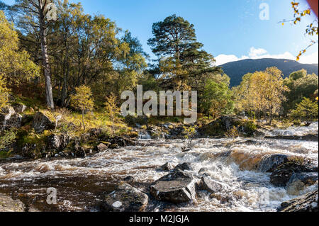 Die Schönheit der Flüsse Schottlands Hund fällt im Glen Affric die schottischen Highlands Stockfoto