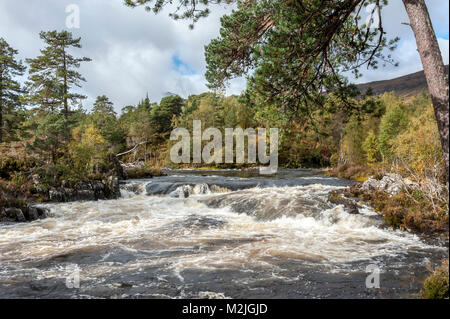 Die Schönheit der schottischen Flüssen Hund fällt Glen Affric in den schottischen Highlands Stockfoto