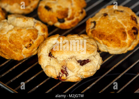 Hausgemachte Obst Scones bekannt als Rock kuchen Kühlung auf einem Rack nach dem Backen Stockfoto