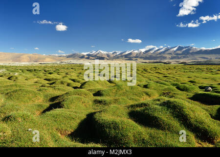 Tso Kar See im Karakorum Berge in der Nähe von Leh, Indien. Diese Region ist ein Zweck der Motorrad Expeditionen von Indianern organisierten Stockfoto