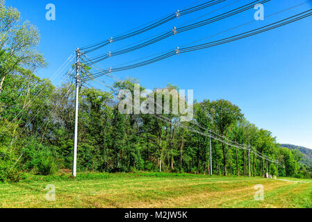 Horizontale Schuß von Hochspannungsleitungen neben einigen grünen Bäumen. Stockfoto