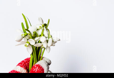 Hand in winter handschuhe Holding snowdrop Blumen Blumenstrauß Stockfoto