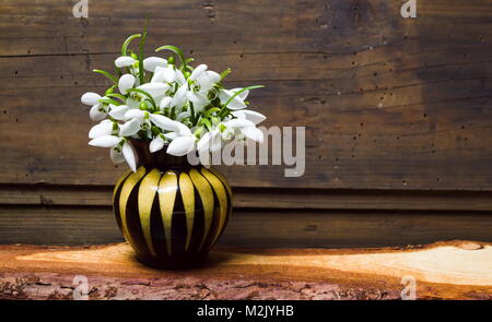 Snowdrop Blumen in einer Vase gegen rustikalen Holzmöbeln Hintergrund Stockfoto