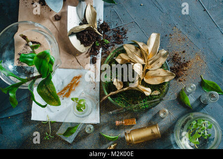 Goldenen Zweig mit Gartengeräten, Boden und grünen Pflanzen. Botanische und genetisch veränderten landwirtschaftlichen Konzept. Stockfoto