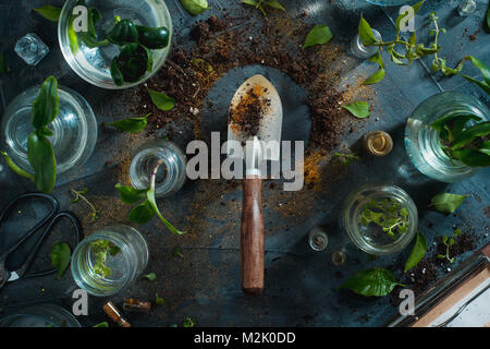 Gartenarbeit Spaten in einen Pflanzen Szene mit Boden- und grünen Pflanzen. Speichern Umwelt Konzept. Botanische noch leben. Stockfoto