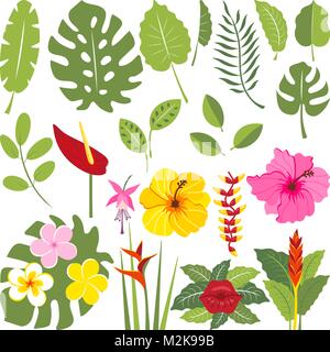 Satz von tropischen Blumen und Blätter Stock Vektor