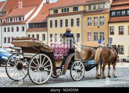 Pferdekutsche am Untermarkt (Unterer Markt) in Freiberg, Sachsen, Deutschland Stockfoto