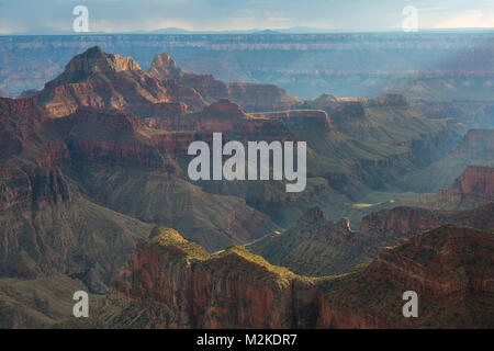 Ein Sturm nähert sich der North Rim des Grand Canyon. Arizona, USA Stockfoto