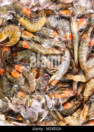Frisch gekühlt Garnelen auf Eis Stockfoto