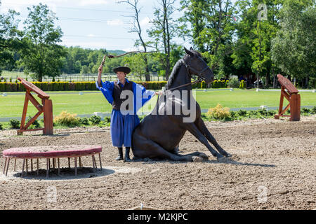 Ungarische Reiter lehnt sich gegen sein Pferd in einer lustigen Trick bei Horse Show in Budapest Ungarn Land sitzen. Stockfoto