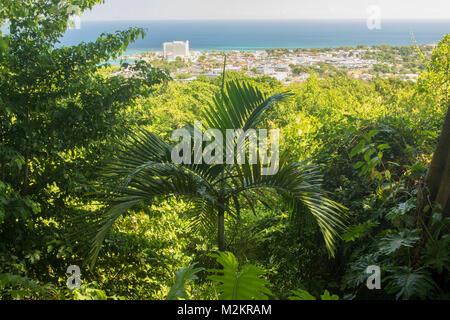 Vegetation und das Karibische Meer vom Ysassis Aussichtspunkt in das coyaba Botanic Gardens, Ocho Rios, Jamaika, Karibik, Karibik Stockfoto