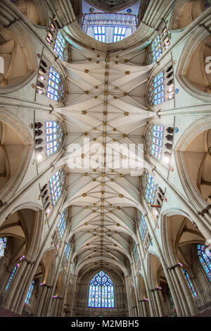 Decke des Kirchenschiffes in York Minster aus direkt unterhalb, York, Yorkshire, Vereinigtes Königreich Stockfoto