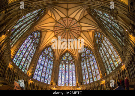 Kapitel Haus York Minster, York, Yorkshire, Vereinigtes Königreich Stockfoto