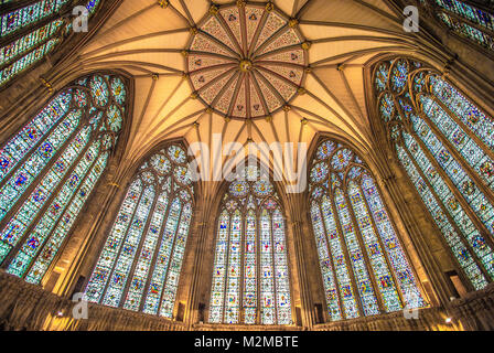 Kapitel Haus York Minster, York, Yorkshire, Vereinigtes Königreich Stockfoto