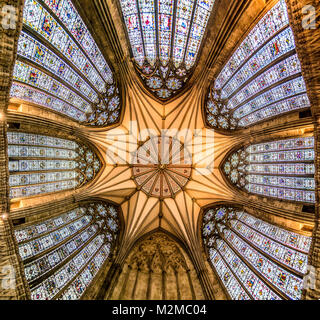 Blick auf Kapitel Haus decke Kuppel aus direkt unter, Kapitel Haus York Minster, York, Yorkshire, Vereinigtes Königreich Stockfoto