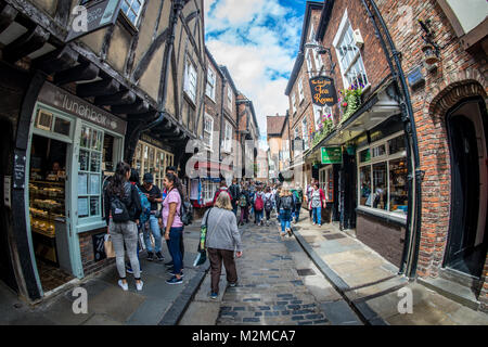 Touristen zu Fuß entlang der historischen Straße von Shambles mit überhängenden Fachwerkhaus aus dem 14. Jahrhundert, dem Fleischmarkt Stockfoto